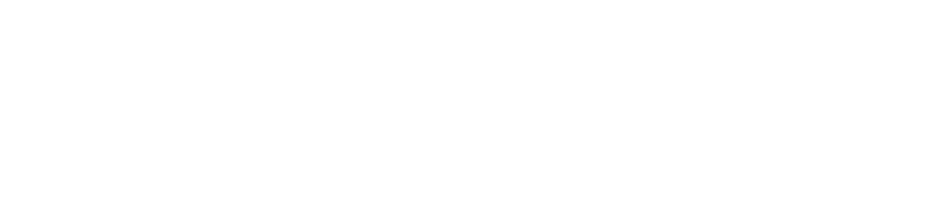 Logo des Wikis