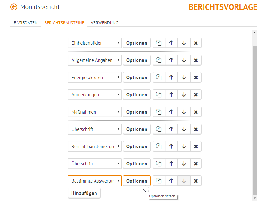 BeispielMonatsbericht_Berichtsvorlagen_E_5_1.PNG