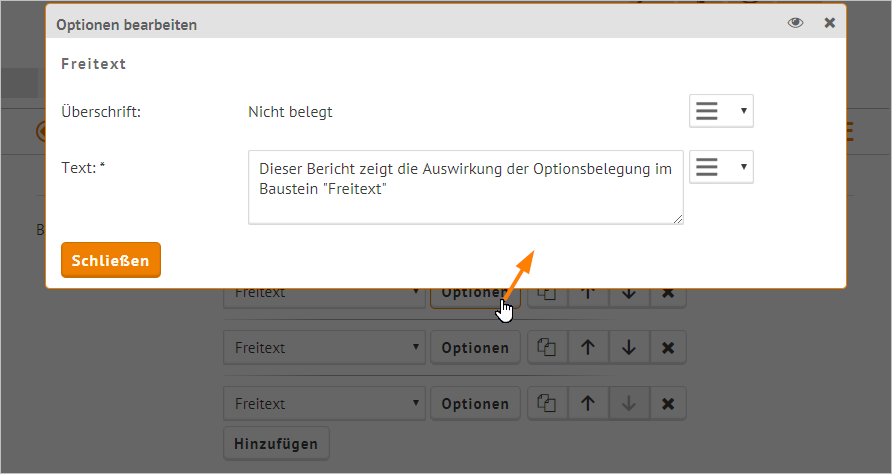 berichtsbausteine_allgemeineErklärungAmBeispielFreitext1.PNG