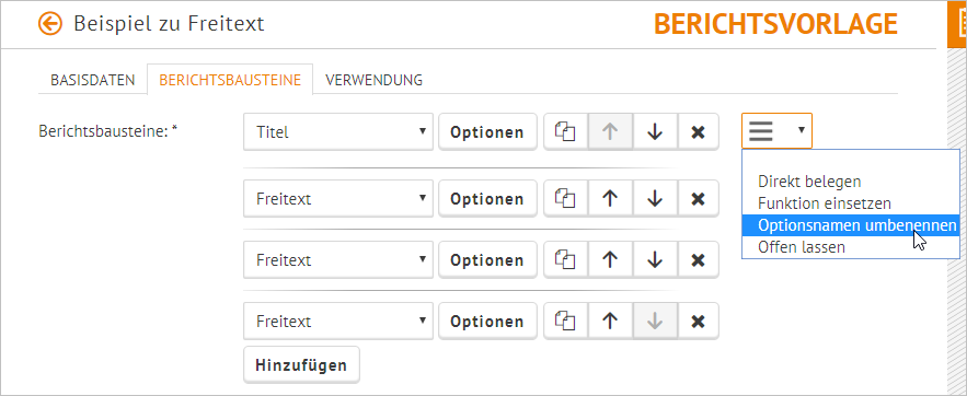 berichtsbausteine_allgemeineErklärungAmBeispielFreitext_Umbenennen.PNG